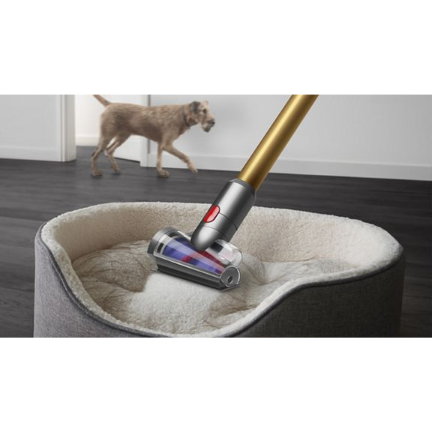 Aspirateur sans-fil Dyson V12 Detect Slim™ Absolute (gold)