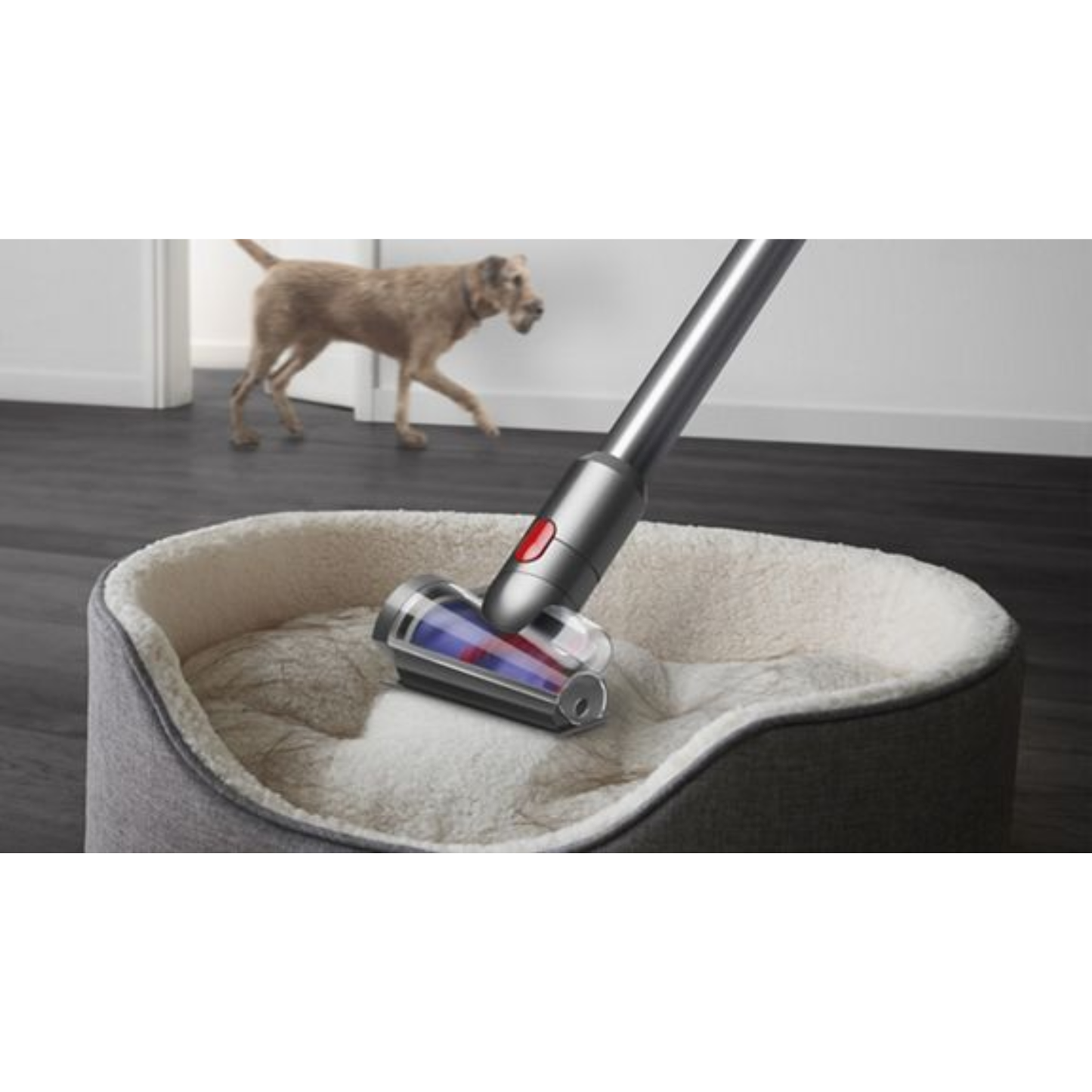 Aspirateur sans-fil Dyson V12 Detect Slim™ Absolute (jaune/nickel)